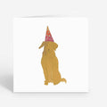 Celebrate Your Furry Friend