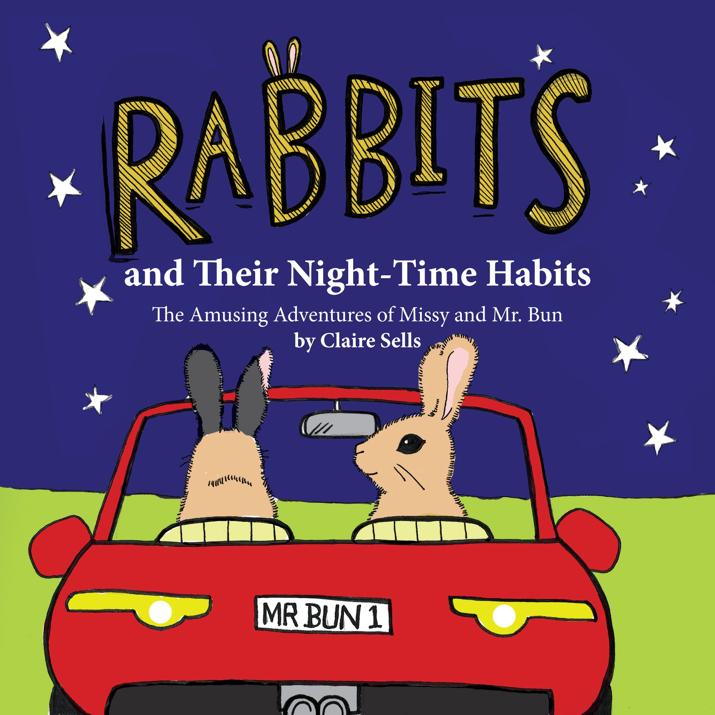 Rabbits & Their Night-Time Habits Illustrated Book